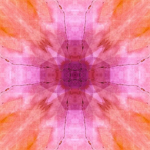 Jaynes Gallery 아티스트의 Pink and orange abstract작품입니다.